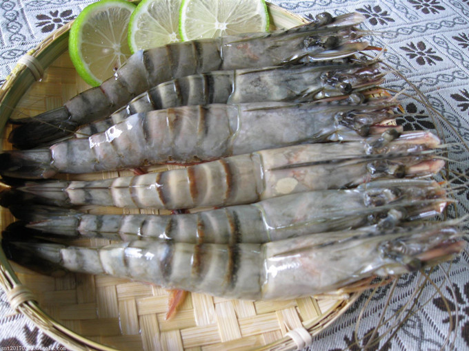Vorteile von Betain in Garnelenfutter (Gesund)